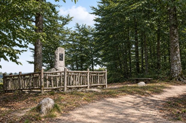 Prof. Carl Friedrich Meyer – „Buchheide-Meyer”, który otworzył Puszczę Bukową