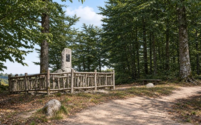 Prof.&nbsp;Carl Friedrich Meyer – „Buchheide-Meyer”, który&nbsp;otworzył Puszczę Bukową