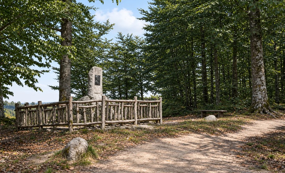 Prof.&nbsp;Carl Friedrich Meyer – „Buchheide-Meyer”, który&nbsp;otworzył Puszczę Bukową